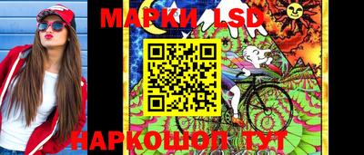 mdpv Камышлов