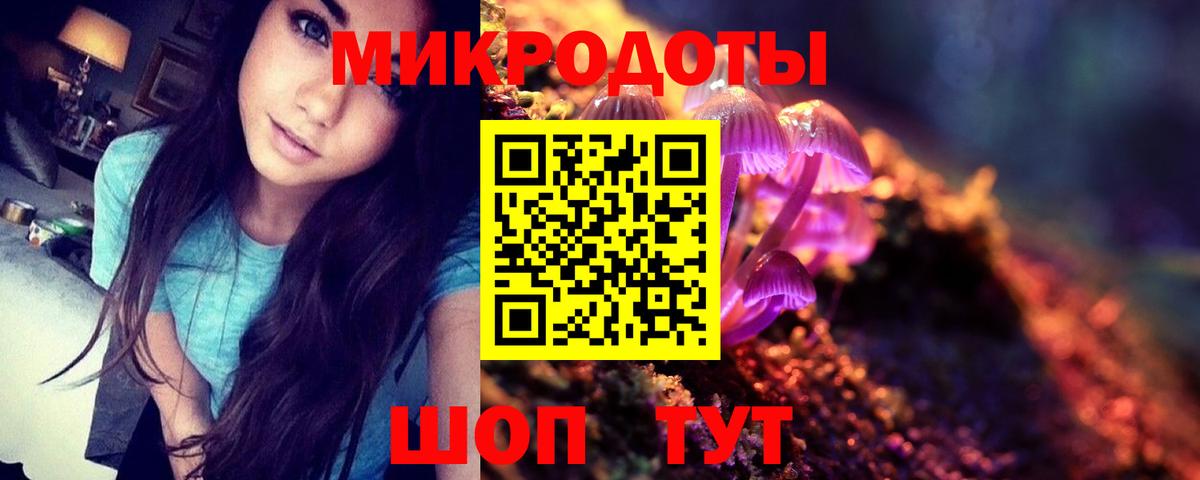Галлюциногенные грибы GOLDEN TEACHER  купить наркоту  Кыштым  Вход с VPN 